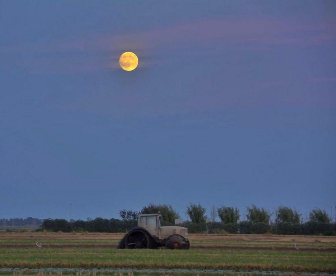 L' Espiga - Casa Rural Deltebre Exteriör bild